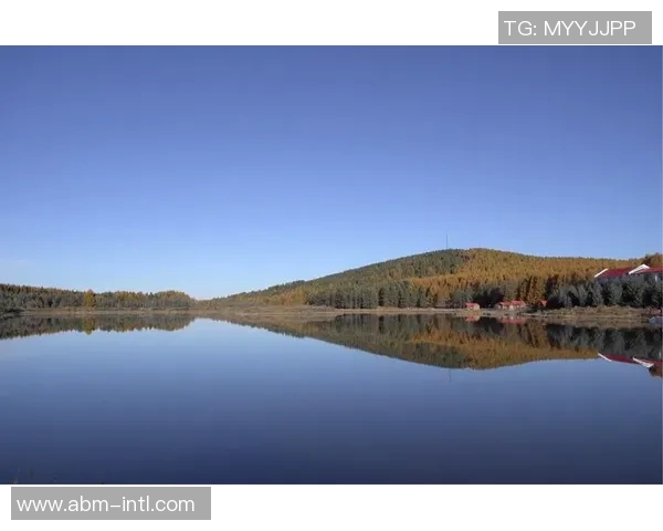 姚明芳经典之美：探寻中华文化的深邃与魅力